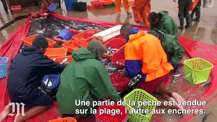 "Sur la route" : La Costa da Caparica au Portugal, entre tourisme et nature