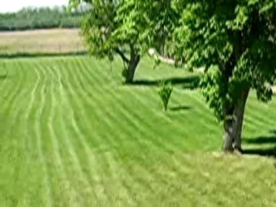 DSCN1915