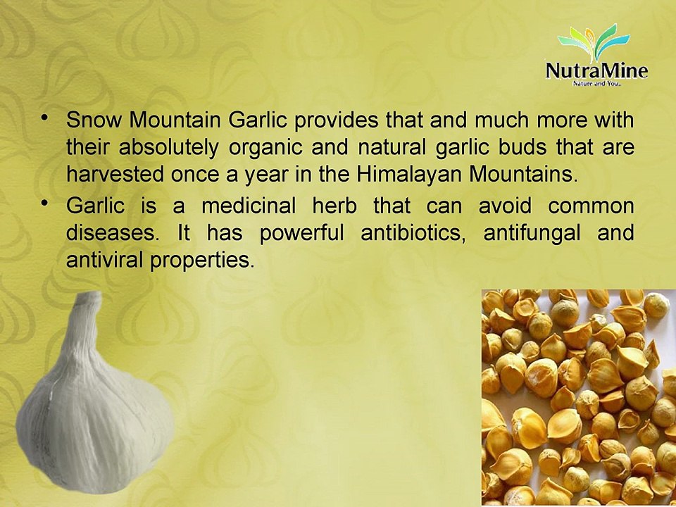 Benefits of Snow Mountain Garlic - video Dailymotion