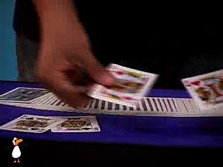 Profesyonel Sihirbazlık numaraları Magic 43