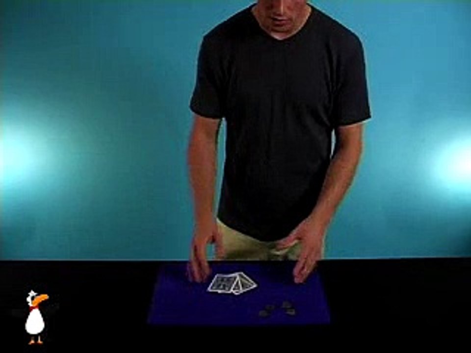 Profesyonel Sihirbazlık numaraları Magic 48