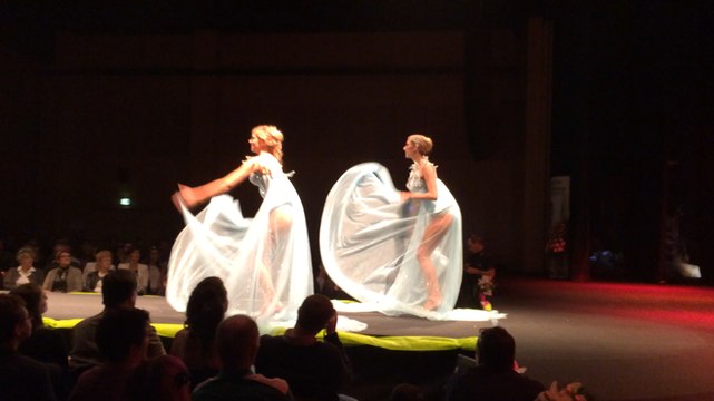 Miss Normandie 2015 : show de Miss France 2015 et ses dauphines