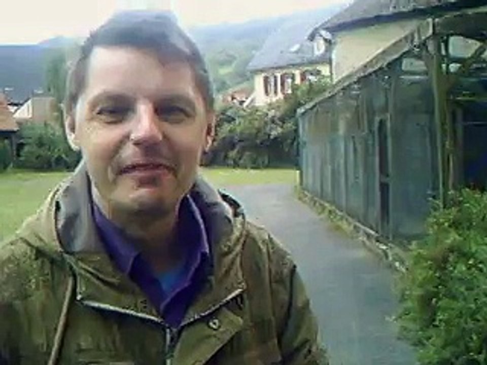 Thomas seine Tv Shows