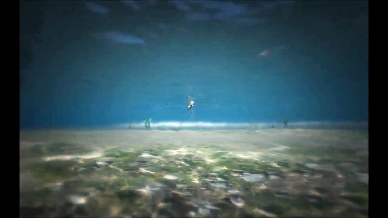 GTA 5 MOD Shark Cannon
