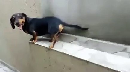 How to get out of a tricky situation