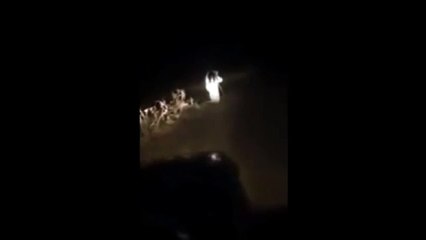 Un'apparizione nella notte e a questi ragazzi è gelato il sangue nelle vene...