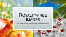 HOW can use google images  for commercial use for free