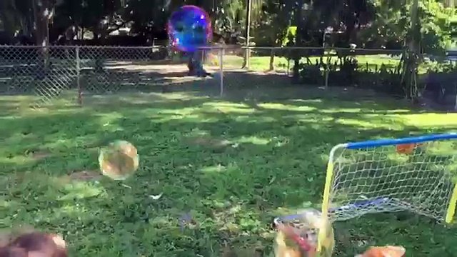 Il momento in cui il cane si accorge di travolgere la bimba mi ha lasciato senza parole!