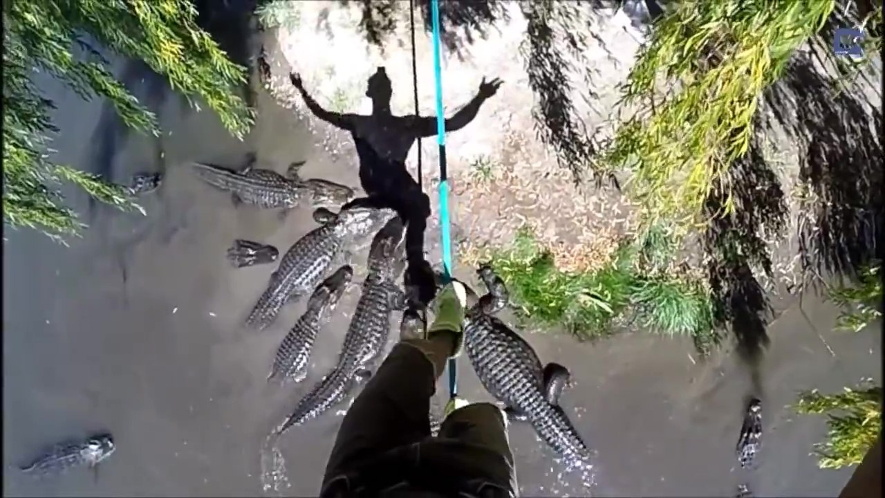 Faire de la slackline au dessus d'une mare infestée d'alligators