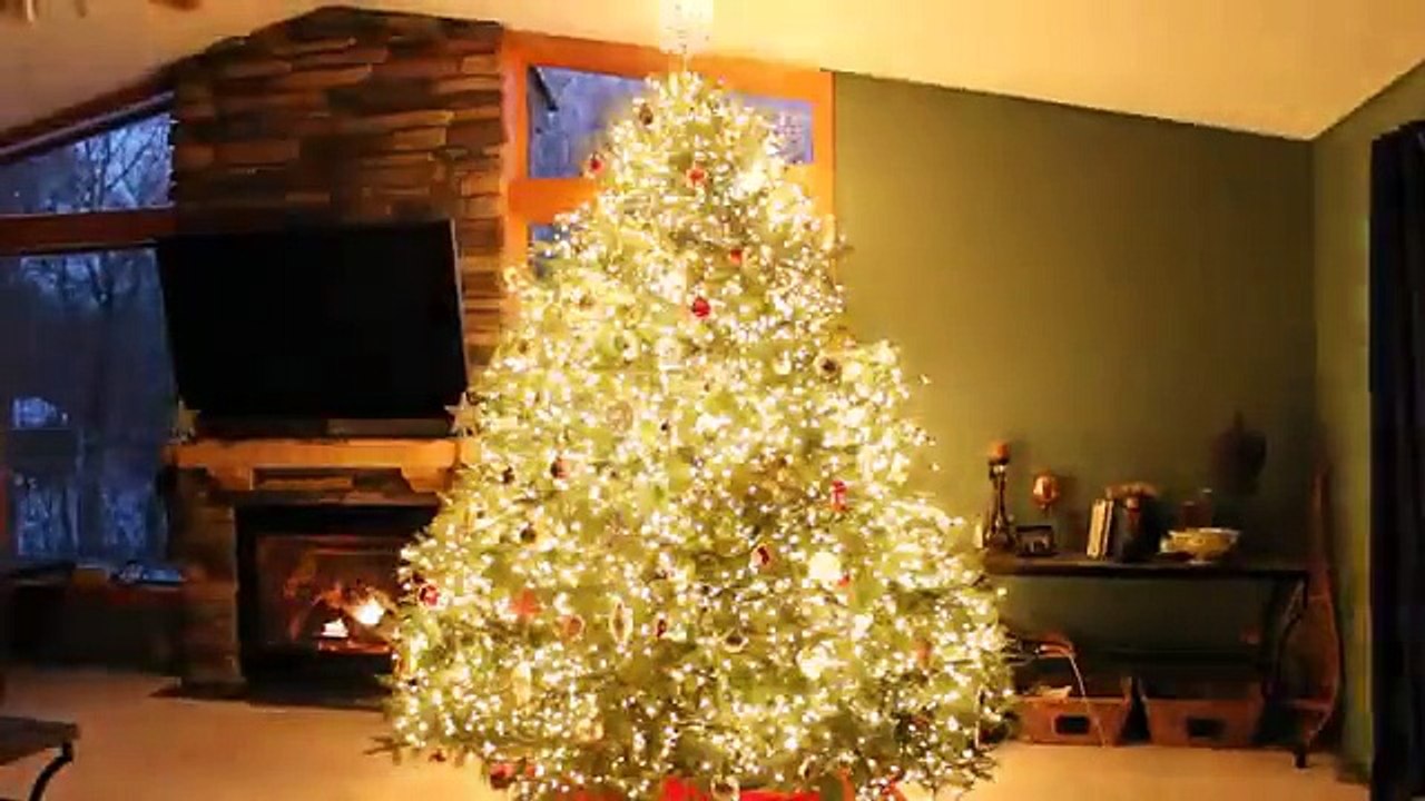 Sembra un banalissimo albero di Natale, ma quando si accende...