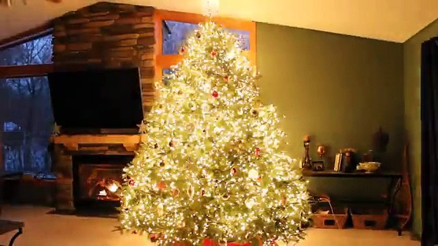 Sembra un banalissimo albero di Natale, ma quando si accende...