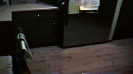 Trova il frigo aperto e scopre che...