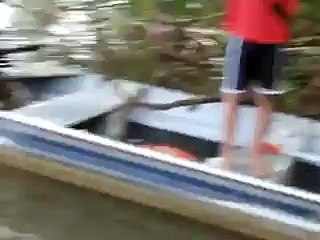 Ecco come vengono pescati i Piranha