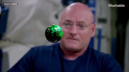 What Water Does in Space is Mesmerizing | Mashable News