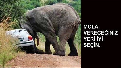 En Talihsiz Anlarda Çekilen 25 Fotoğraf