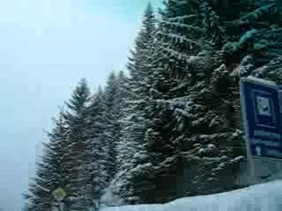 MVI_2684