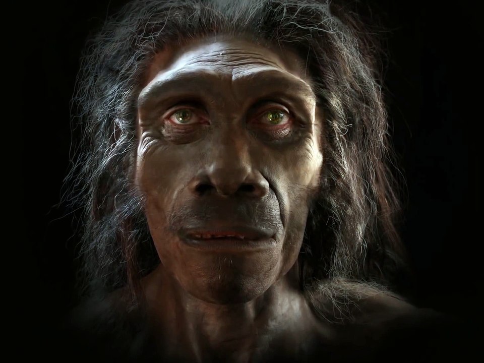 Watch The Evolution Of Human Species In Just 2 Minutes