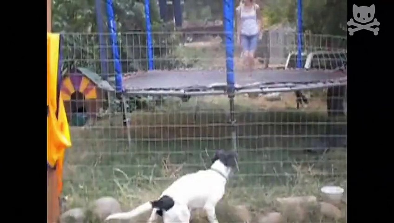 Lady and the trampoline