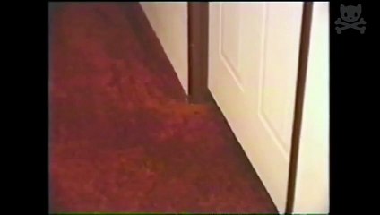 houdini puppy makes miraculous escape