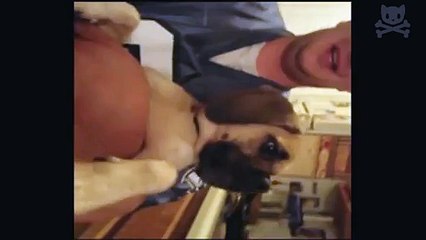 dog trapped in a bear hug