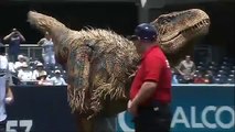 Dinosaur Throws Out First Pitch at Padres Game-wighvyxg5d8