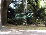Dizzy dog hula hoops