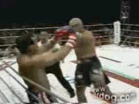 UFC - Best of Jerome lebanner K1