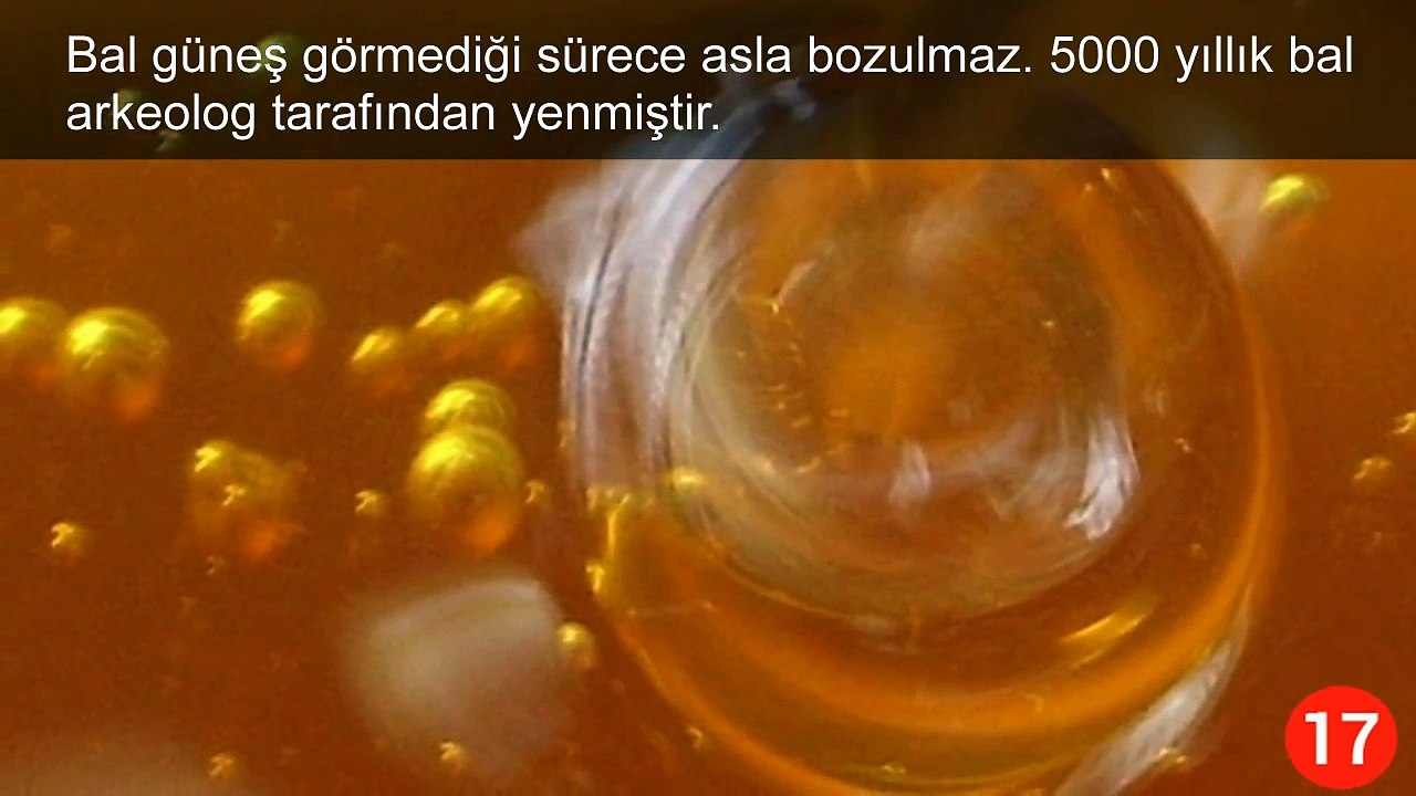Gerçek Olduğuna İnanamayacağınız 20 İlginç Bilgi
