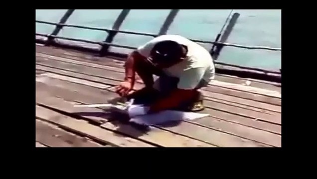 Oltayla martı yakalanar mı demeyin!!! Oluyormuş!!!