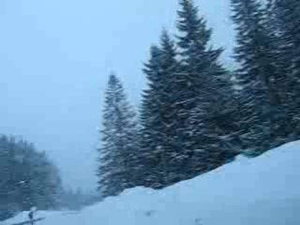 MVI_2687