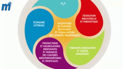La stratégie d'innovation 3S du Languedoc Roussillon
