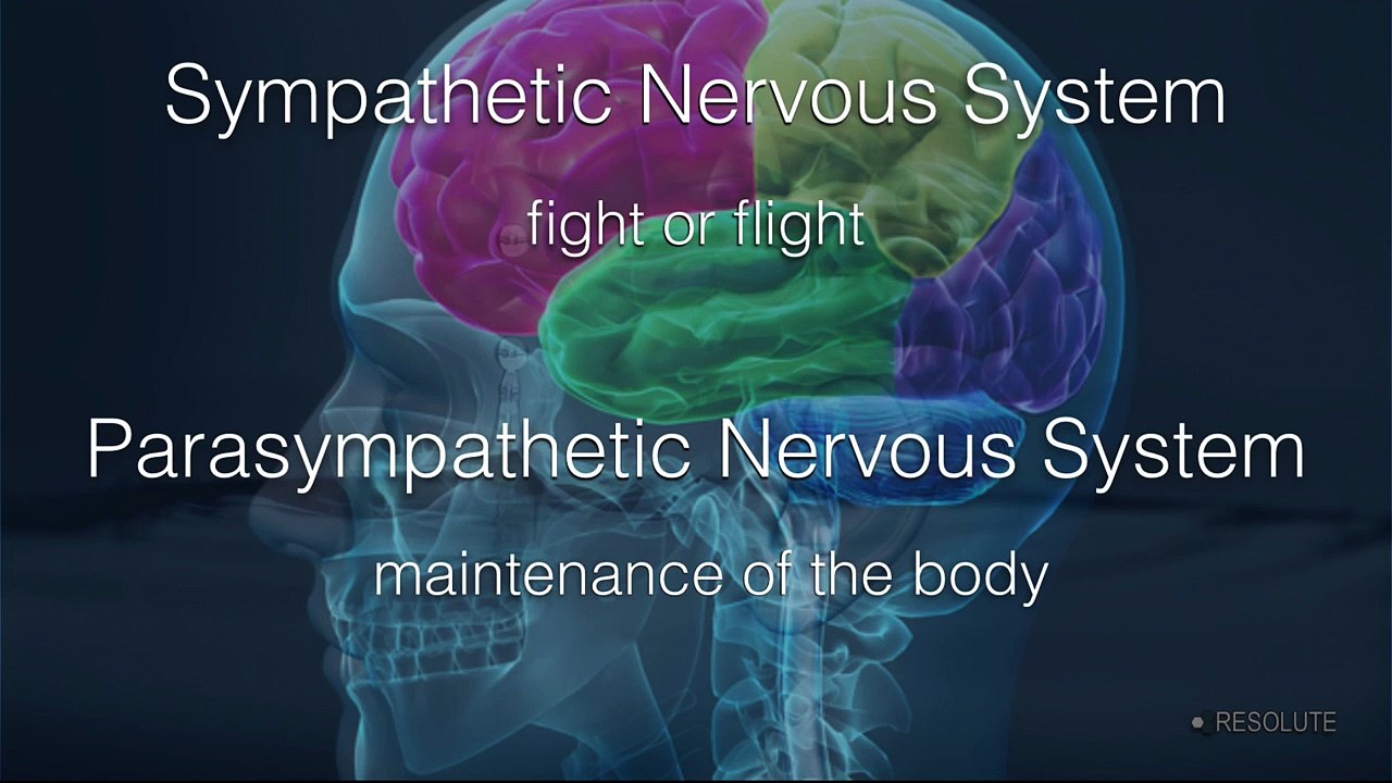 12 Metabolic Markers Weight Loss and Metabolism