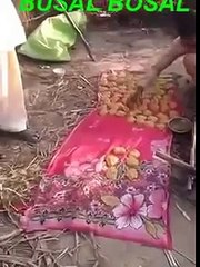 Desi Gord Punjab Ma Tiyar Kiya ja raha ha تازہ تازہ گُڑ بن ریا اے لائیو گرما گرم آ جاو جے کھانا اے