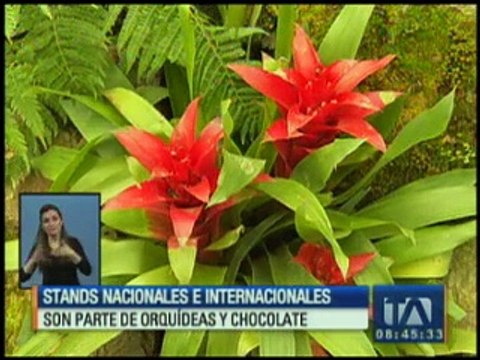 Stands nacionales e internacionales son parte de Orquídeas y chocolate”
