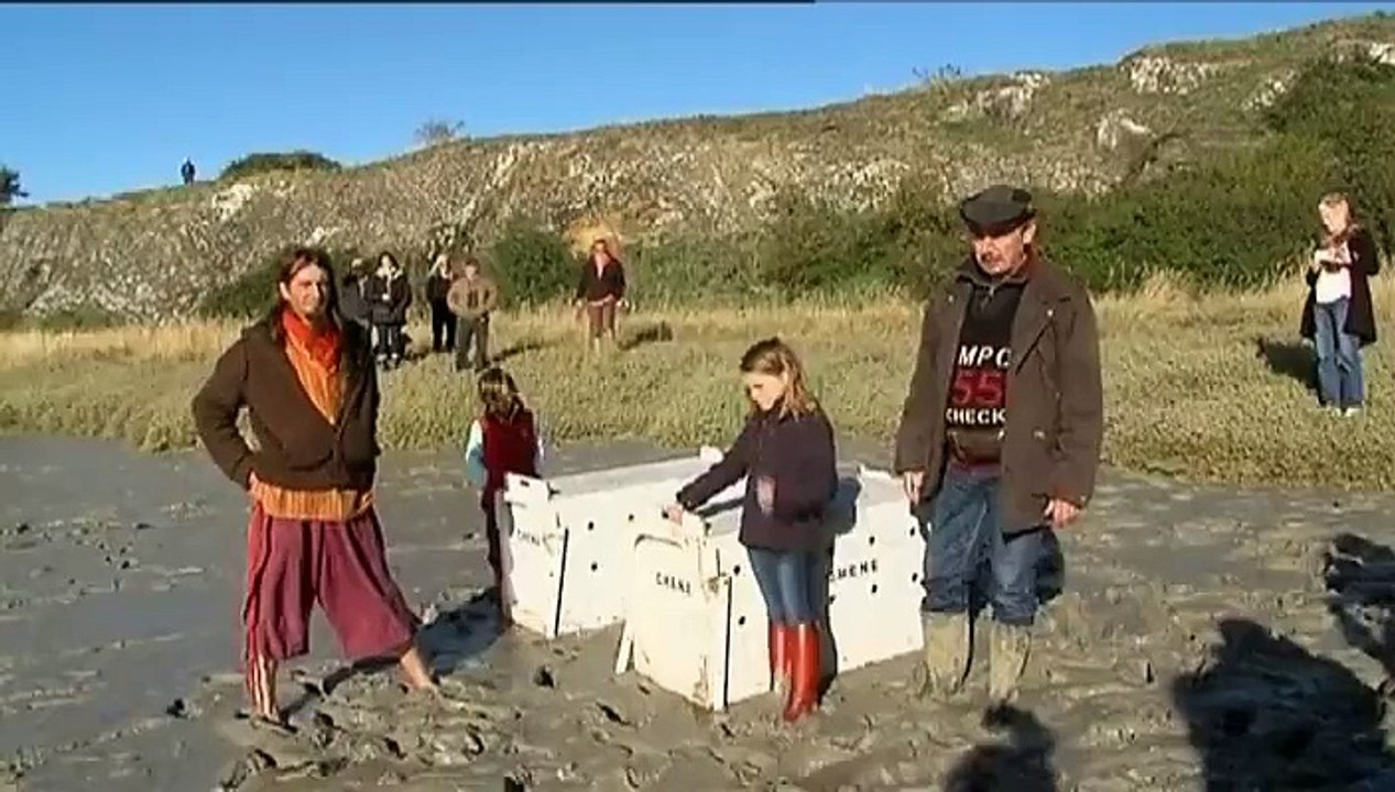 Baie du Mont-Saint-Michel : deux jeunes phoques relâchés en mer après plusieurs mois de soins