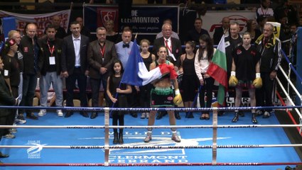 Championnat du monde de Boxe 2015