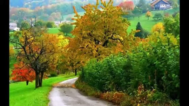 Senede Bir Gün - Emel Sayın