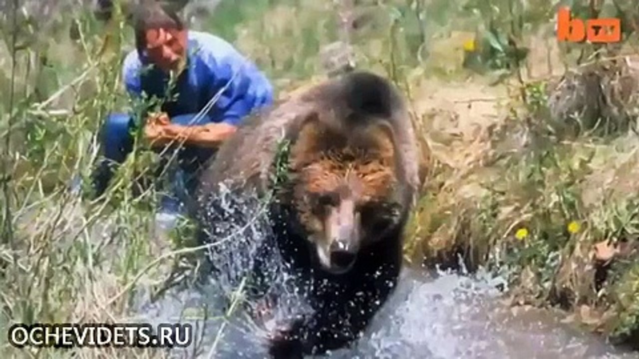 Немного позитива