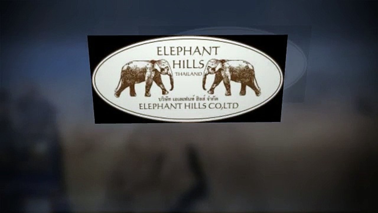 Elephant thailand