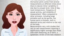 Human penis size