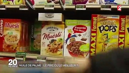 Faut-il croire en l'huile de palme durable ?