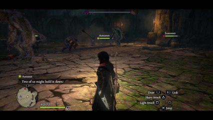 summer autumn spring apc test omma