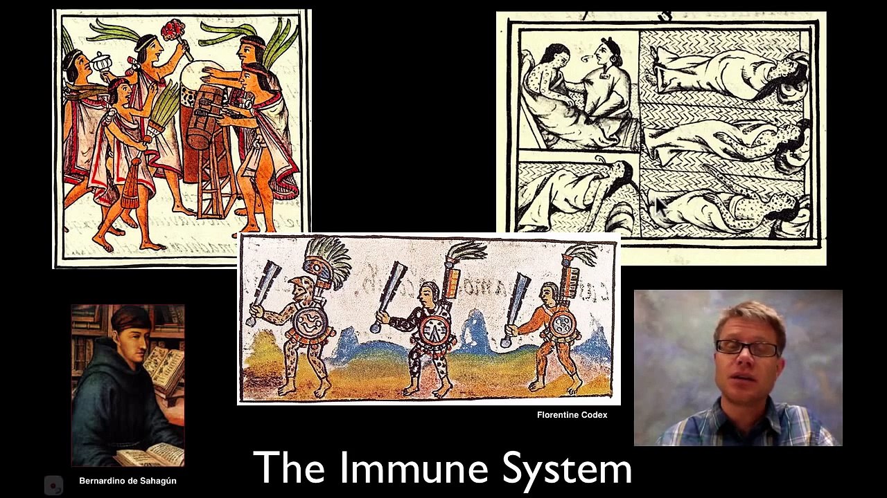 The Immune System