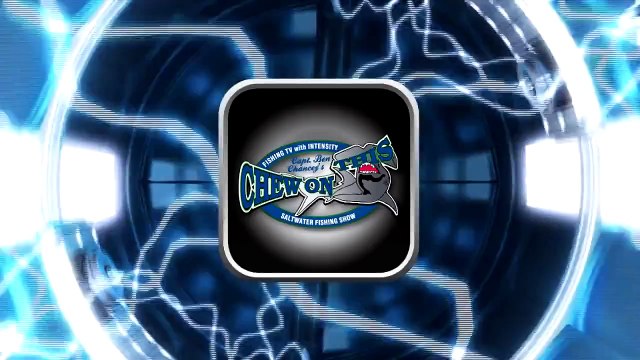 Cape Coral Fishing Charters Grouper Tries To Eat Man! keep the big fish - sea - lake