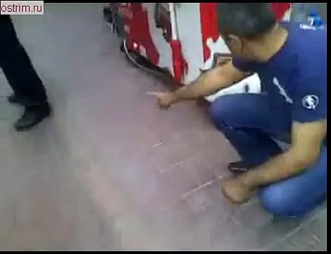 Нападение озверевшего кота на крупную собаку!