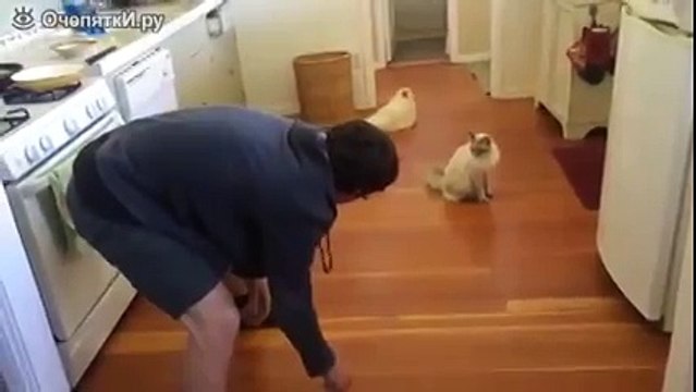 Прокати меня по полу!