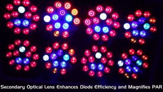 Hydroponics Systems & LED Grow Lights