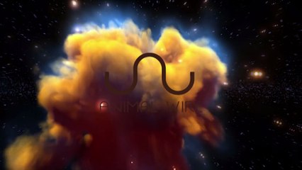 MAN GRABS GIANT SNAKE FROM THE WATER