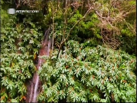 A Alma e a Gente - VIII #24 - Floresta, Pulmão do Mundo - 12 Jun 2010