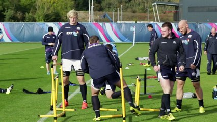 Rugby: Scotland must be clinical to beat Aussies, says Strauss